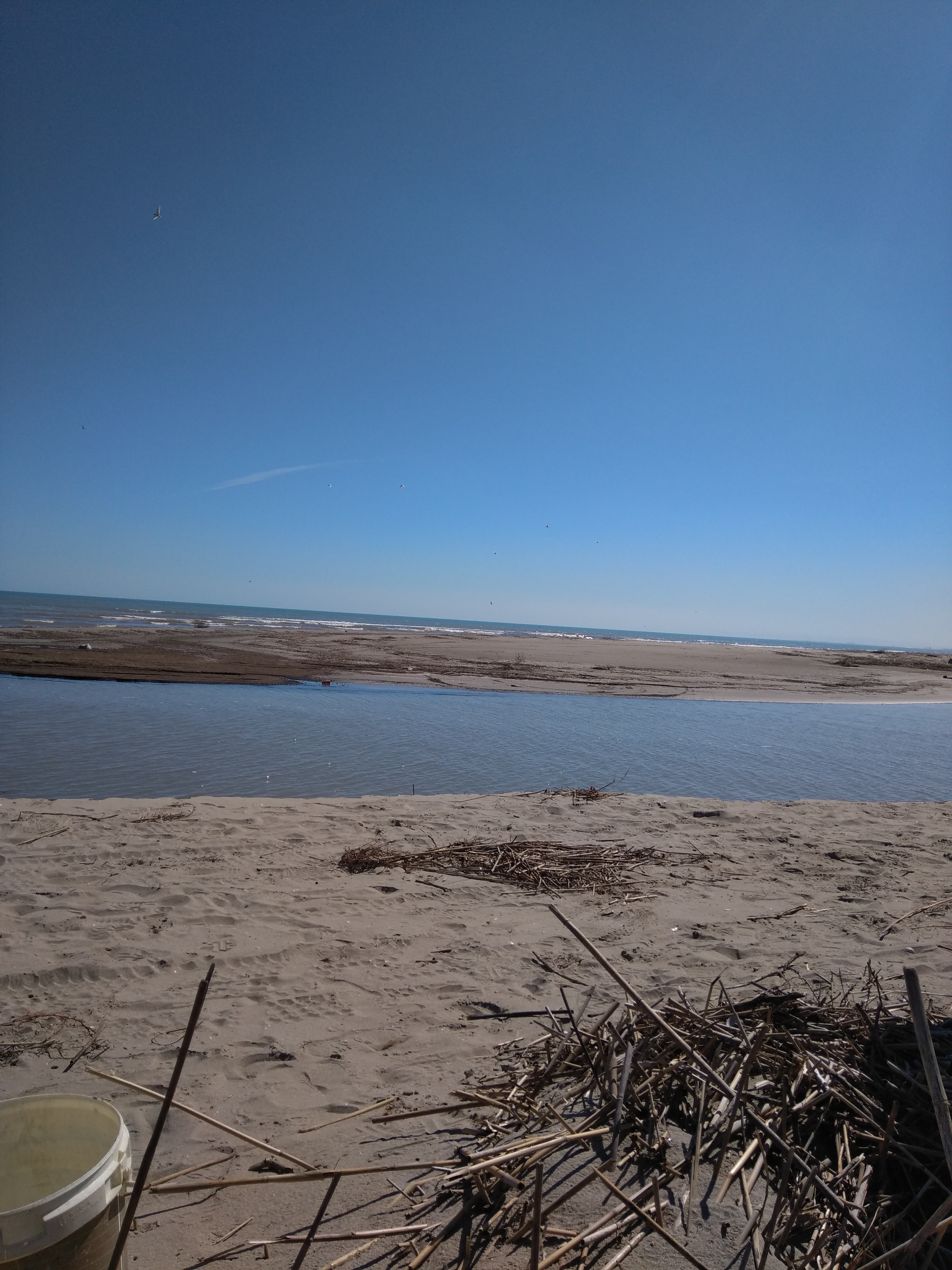 Il secchio è mio. Ho raccolto qualche frutto di mare durante una lunga passeggiata in spiaggia.