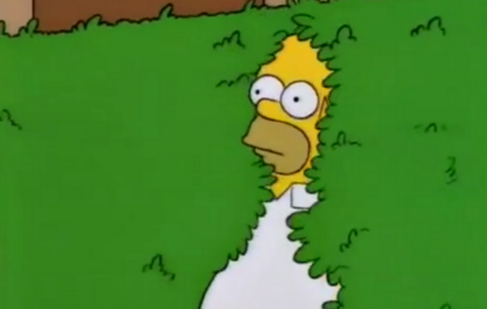 homer-696x442.png